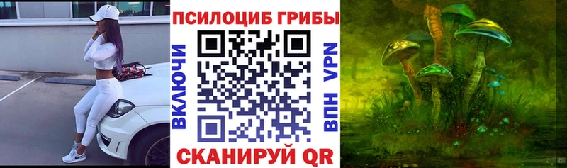 Псилоцибиновые грибы мухоморы  OMG сайт  Череповец 