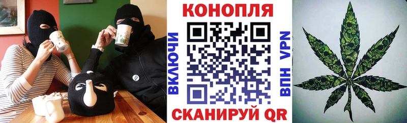 Конопля план Череповец